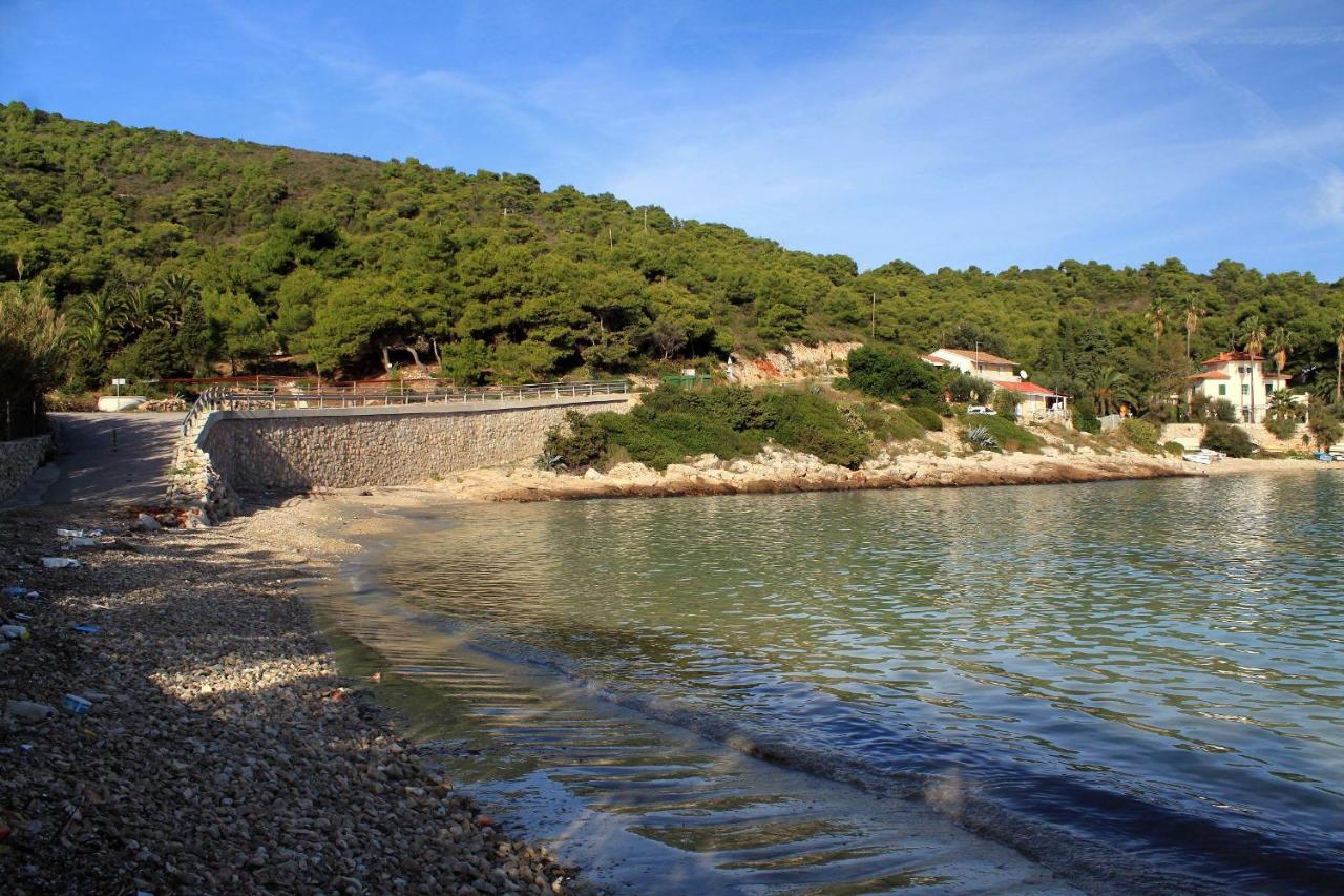 Apartments By The Sea Milna, Vis - 8946 Rukavac  Esterno foto
